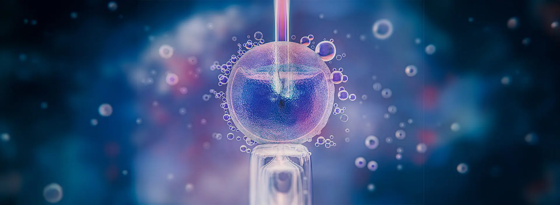 Gebelik, IVF ve Riskli Gebelik Takibi